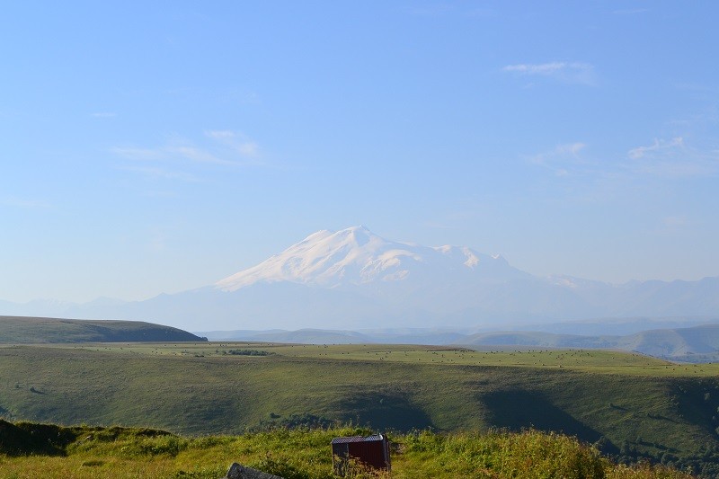 радость каждый день