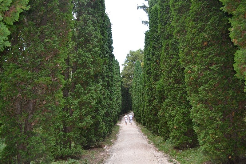 смирение-принятие