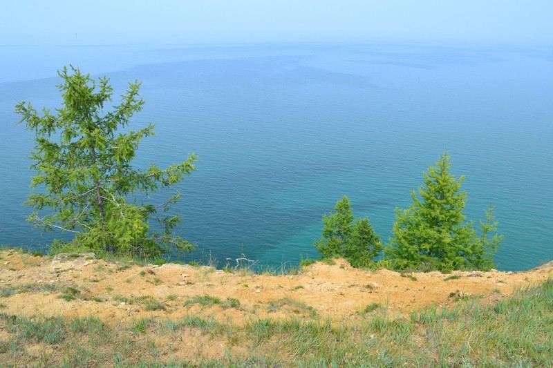 научиться-прощать-фото