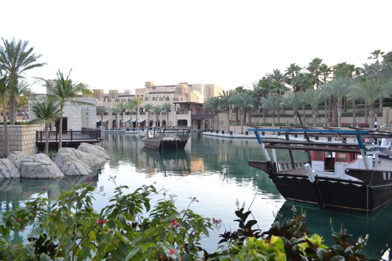 pochemu-lyudi-stradayut-foto